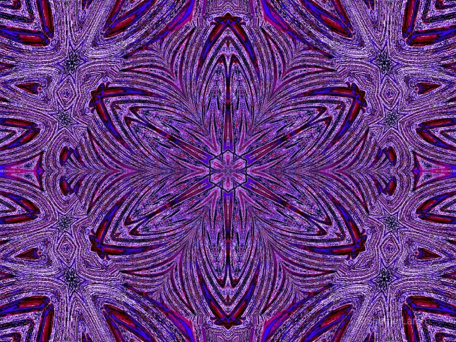 アート・デザイン・音楽 purple Amazon.com: SIGNWIN Large Canvas Wall Art Abstract Trees with